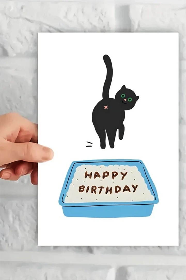 Narodeninové prianie s mačkou a nápisom Happy Birthday v zásobníku