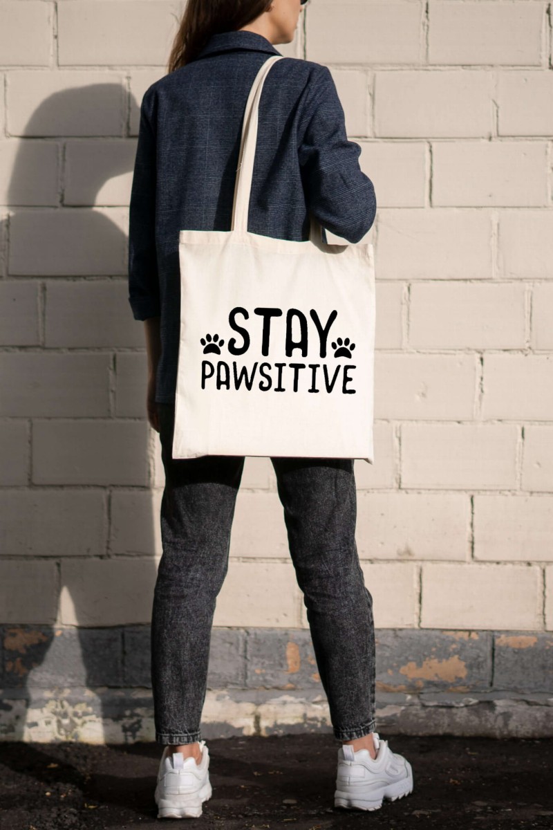 staypawsitivetorbamodel.png-min (1).jpg