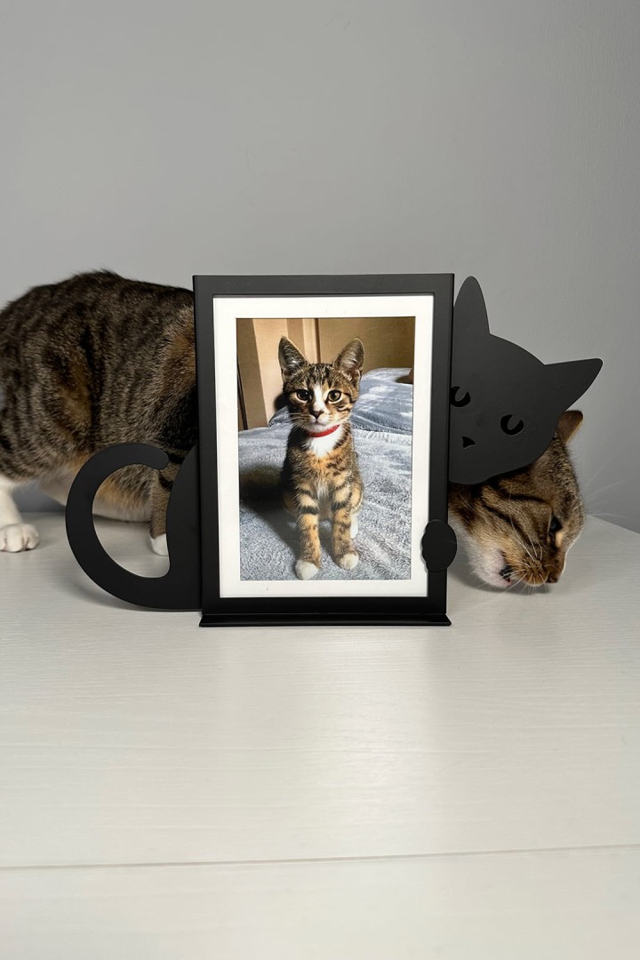 Kovový vertikálny fotorámik čiernej farby v tvare mačky