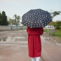umbrella-meowmbrella-black-nylon-27829C.jpg