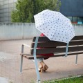 umbrella-meowmbrella-gray-nylon-27828C (1).jpg